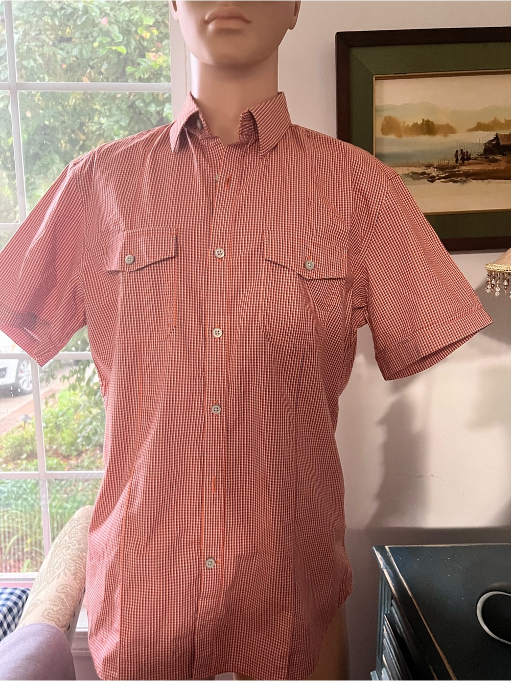 Banana Republic Red and White Micro-Check Short Sleeve Button-Down Shirt